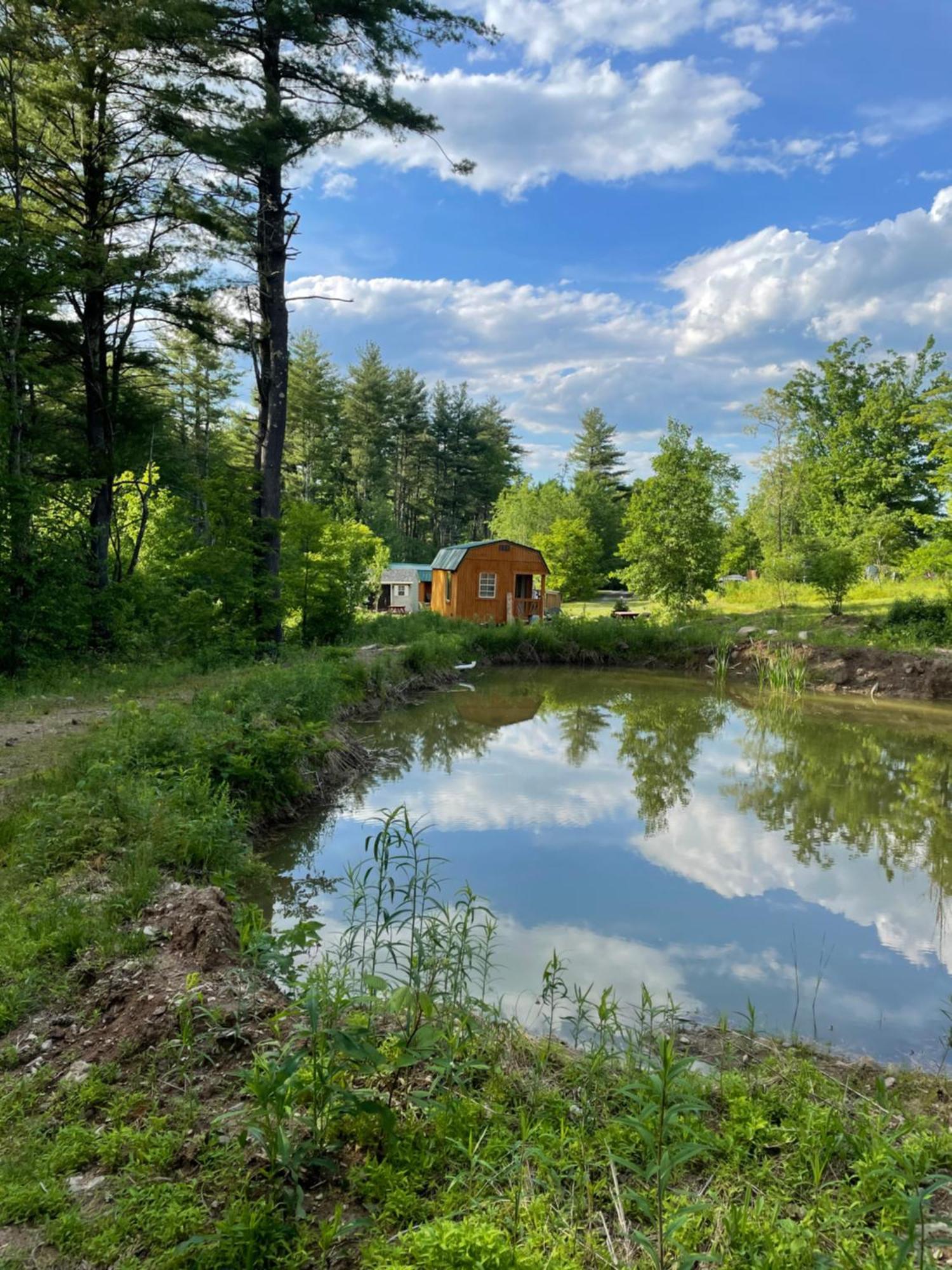 The Hideaway Tiny Cabin East Durham Exteriér fotografie